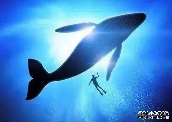 男子开车遇检查竟出示“玩具驾驶证”：性别“男女均可”证件号“18个8”准驾车型“ABCDEF”被处以罚款并拘留10天